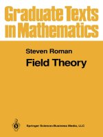 Field theory, steven roman 