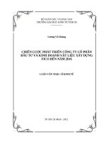 Chiến lược phát triển công ty cổ phần đầu tư và kinh doanh vật liệu xây dựng fico đến năm 2016 , luận văn thạc sĩ 