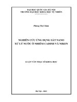 Nghiên cứu ứng dụng sắt nano xử lý nước ô nhiễm cadimi và niken : Luận văn ThS. Khoa học môi trường và bảo vệ môi trường