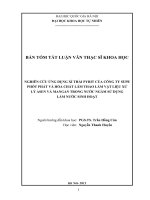Nghiên cứu ứng dụng xỉ thải Pyrit của Công ty Supe phốt phát và hóa chất Lâm Thao làm vật liệu xử lý Asen và Mangan trong nước ngầm sử dụng làm nước sinh hoạt : Luận văn ThS. Hóa học: 60 44 29