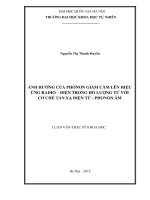 Ảnh hưởng của phonon giam cầm lên hiệu ứng radio – điện trong hố lượng tử với cơ chế tán xạ điện tử - phonon âm : Luận văn ThS. Vật lý: 60 44 01 03