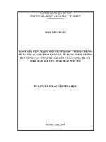 Đánh giá hiện trạng môi trường đất trồng chè và đề xuất các giải pháp quản lý, sử dụng theo hướng bền vững tại vùng chè đặc sản Tân Cương, thành phố Thái Nguyên, tỉnh Thái Nguyên