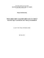 Phát hiện một loại đột biến gen ty thể ở người Việt Nam bằng kỹ thuật PCR-RFLP : Luận văn ThS. Sinh học: 60 42 30