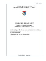 Một số vấn đề xung quanh các bài toán hit và đối đồng điều của đại số Steenrod