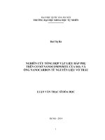 Nghiên cứu tổng hợp vật liệu hấp phụ trên cơ sở Nanocomposite của SiO2 và ống Nanocarbon từ nguyên liệu vỏ trấu : Luận văn ThS. Hóa học: 60 44 01 20