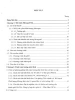 Tìm hiểu bộ chương trình tính phát thải khí gây ô nhiễm vùng và đánh giá phân tích sự ảnh hưởng của một số tham số chính : Luận án PTS. Cơ học: 2 02 02