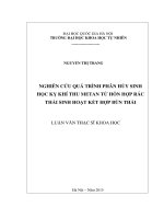 Nghiên cứu quá trình phân hủy sinh học kỵ khí thu metan từ hỗn hợp rác thải sinh hoạt kết hợp bùn thải : Luận văn ThS. Hóa học: 60 44 01 20