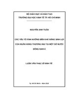 Các yếu tố ảnh hưởng đến khả năng sinh lợi của ngân hàng thương mại tại một số nước đông nam á 
