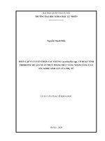 Phân lập và tuyển chọn các chủng Lactobacillus spp. có hoạt tính probiotic để sản xuất thực phẩm chức năng nhằm nâng cao sức khỏe sinh sản của phụ nữ