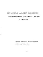 Educational and family background determinants to employments wage in vietnam , luận văn thạc sĩ 