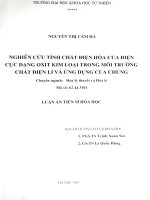 Nghiên cứu tính chất điện hoá của điện cực dạng oxit kim loại trong môi trường chất điện li và ứng dụng của chúng : Luận án TS. Hóa học : 62 34 31 01