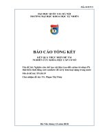 Nghiên cứu chế tạo vật liệu trao đổi cation từ nhựa PS thải biến tính bằng axit sunfuric để xử lý kim loại nặng trong nước