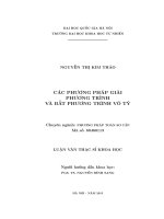 Các phương pháp giải phương trình và bất phương trình vô tỷ : Luận văn ThS. Toán học: 60 46 01 13