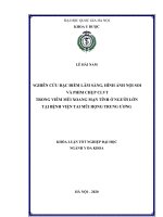 Nghiên cứu đặc điểm lâm sàng, hình ảnh nội soi và phim chụp CLVT trong viêm mũi xoang mạn tính ở người lớn tại bệnh viện tai mũi họng trung ương 