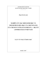 Nghiên cứu đặc điểm sinh học và thành phần hóa học  của một số loài của chi Mần tưới (Eupatorium L.) - họ Cúc (Asteraceae) ở Việt Nam: Luận văn ThS. Sinh học: 604201