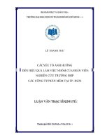 Các yếu tố ảnh hưởng đến hiệu quả làm việc nhóm của nhân viên, nghiên cứu trường hợp các công ty phần mềm tại TP HCM 