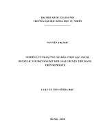 Nghiên cứu phản ứng oxi hóa chọn lọc ancol benzylic với một số oxit kim loại chuyển tiếp mang trên sepiolite:  Luận án TS. Kỹ thuật hoá học: 95203
