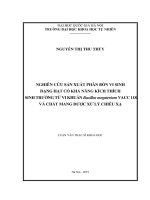 Nghiên cứu sản xuất phân bón vi sinh dạng hạt có khả năng kích thích sinh trưởng từ vi khuẩn Bacillus megaterium VACC 118 và chất mang được xử lý chiếu xạ