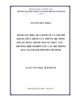 Đánh giá hiệu quả kinh tế và chi phí khám chữa bệnh của những hộ nông dân sử dụng thuốc bảo vệ thực vật, trường hợp nghiên cứu các hộ trồng rau tại thành phố hồ chí minh 
