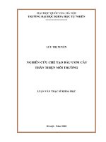 Nghiên cứu chế tạo bầu ươm cây thân thiện môi trường :  Luận văn ThS. Khoa học vật chất: 60 44 01