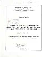 Sự hình thành các nguồn nước và một số giải pháp bảo vệ môi trường nước khu vực Thành phố Hồ Chí Minh : Luận án PTS. Địa lý: 1 07 10