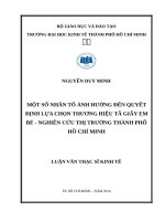 Một số nhân tố ảnh hưởng đến xu hướng lựa chọn thương hiệu tã giấy em bé, nghiên cứu thị trường thành phố hồ chí minh 