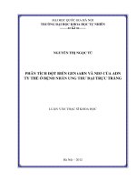 Phân tích đột biến Gen tARN và ND3 của AND ty thể ở bệnh nhân ung thư đại trực tràng : Luận văn ThS. Sinh học: 60 42 30