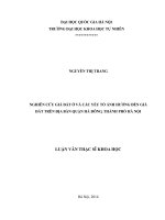 Nghiên cứu giá đất ở và các yếu tố ảnh hưởng đến giá đất trên địa bàn quận Hà Đông, thành phố Hà Nội : Luận văn ThS. Quản lý đất đai: 60 85 01 03