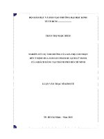 Nghiên cứu sự ảnh hưởng của giá trị cảm nhận đến ý định mua sắm sản phẩm du lịch lữ hành của khách hàng tại thành phố hồ chí minh , luận văn thạc sĩ 