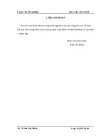 132  giải pháp chủ yếu nhằm tăng cường quản trị sử dụng VKD tại công ty TNHH jang won tech vina 