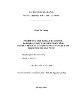Nghiên cứu chế tạo xúc tác dị thể Fe- TiO2/Diatomit biến tính cho quá trình xử lý một số phẩm vàng hữu cơ trong môi trường nước