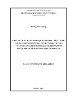 Nghiên cứu Đa dạng sinh học ba bộ côn trùng nước: Phù du (Ephemeroptera), Cánh úp (Plecoptera), Cánh lông (Trichoptera) ở hệ thống suối thuộc Khu di tích Mỹ Sơn, tỉnh Quảng Nam