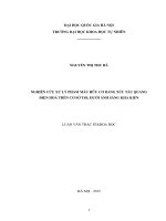 Nghiên cứu xử lý phẩm màu hữu cơ bằng xúc tác quang điện hóa trên cơ sở TiO2 dưới ánh sáng khả kiến : Luận văn ThS. Hóa học: 60 44 01 20