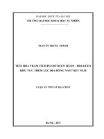Tiến hóa trầm tích Pleistocen muộn-Holocen khu vực thềm lục địa Đông Nam Việt Nam: Luận án TS. Khoa học trái đất: 624402