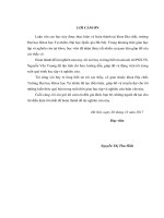 Nghiên cứu sự biến động hàm lượng kim loại nặng trong trầm tích sông Hồng đoạn chảy qua tỉnh Lào Cai