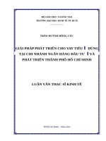Giải pháp phát triển cho vay tiêu dùng tại chi nhánh ngân hàng đầu tư và phát triển thành phố hồ chí minh , luận văn thạc sĩ 