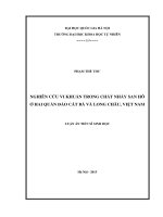 Nghiên cứu vi khuẩn trong chất nhầy san hô ở hai quần đảo Cát Bà và Long Châu, Việt Nam: Luận án TS. Sinh học: 62 42 01 07
