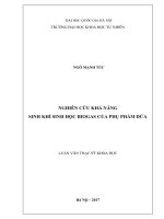 Nghiên cứu khả năng sinh khí sinh học biogas của phụ phẩm dứa :Luận văn ThS. Kỹ thuật hoá học, vật liệu, luyện kim và môi trường: 605203