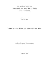 Phân tích Hàm nguyên và Hàm phân hình : Luận văn ThS. Toán học: 60 46 01 02