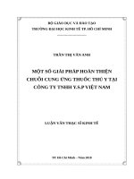 Một số giải pháp hoàn thiện chuỗi cung ứng thuốc thú y tại công ty TNHH y s p việt nam 