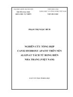 Nghiên cứu tổng hợp Canxi Hidroxy Apatit trên nền Alginat tách từ rong biển Nha Trang (Việt Nam) : Luận văn ThS. Hóa học: 60 44 01 13