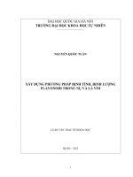 Xây dựng phương pháp định tính, định lượng Flavonoid trong nụ và lá vối : Luận văn ThS. Hóa học : 60 44 29