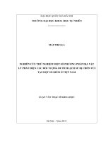 Nghiên cứu thử nghiệm một số phương pháp địa vật lý phát hiện các đối tượng di tích lịch sử bị chôn vùi tại một số điểm ở Việt Nam : Luận văn ThS. Địa chất: 60 44 61