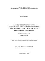 Đẩy mạnh cho vay tiêu dùng tại ngân hàng nông nghiệp và phát triển nông thôn việt nam   chi nhánh huyện định hóa tỉnh thái nguyên 