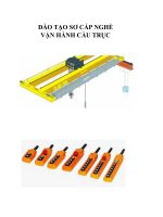 BÀI GIẢNG VẬN HÀNH SƠ CẤP NGHỀ CẦU TRỤC + ĐỀ THI