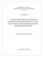 Giải pháp hoàn thiện quản trị rủi ro tín dụng đối với doanh nghiệp vừa và nhỏ tại ngân hàng TMCP quân đội chi nhánh thành phố hồ chí minh 