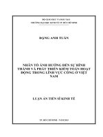 Nhân tố ảnh hưởng đến sự hình thành và phát triển kiểm toán hoạt động trong lĩnh vực công ở việt nam , luận án tiến sĩ 