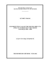 Giải pháp nâng cao giá trị thương hiệu của công ty cổ phần may việt thắng giai đoạn 2016   2020 