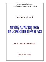 Một số giải pháp phát triển công ty điện lực TP  hồ chí minh đến năm 2010 và 2020 