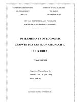 Determinants of economic growth in a panel of asean and developing countries 